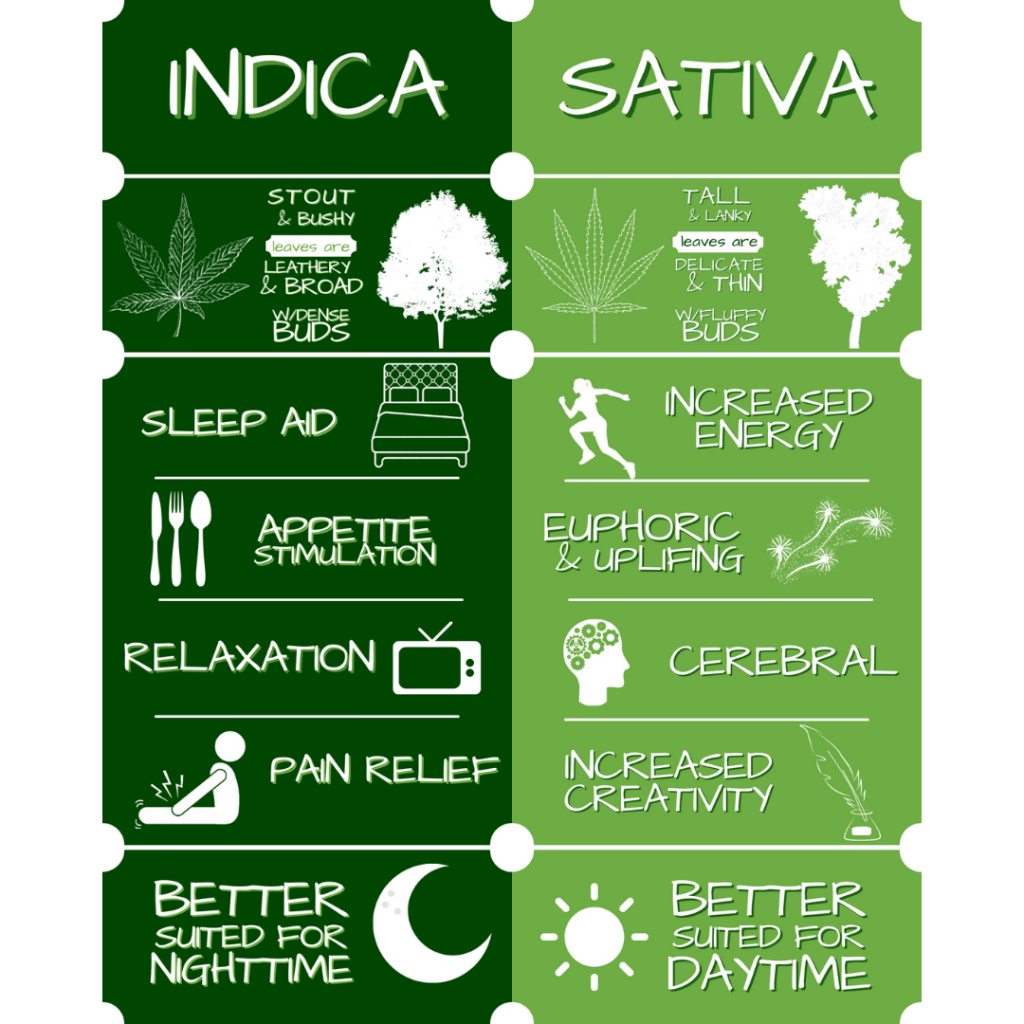 delta-8-indica-vs-sativa-learn-the-basics-in-part-1