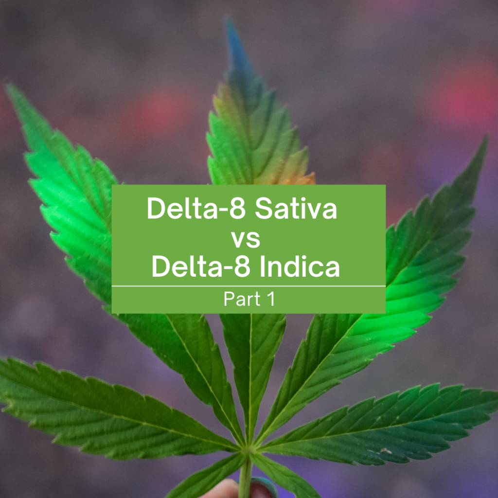 Delta-8 Indica vs Sativa. Learn the basics in Part 1